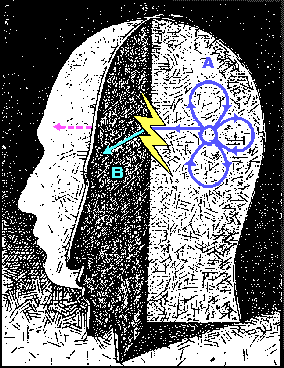 Transforming The Mind, by Peter Shepard